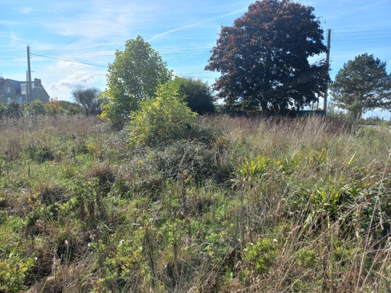 Terrain à Le-Minihic-sur-Rance 35870 418m2 155000 € - GESC-26-06-23-4