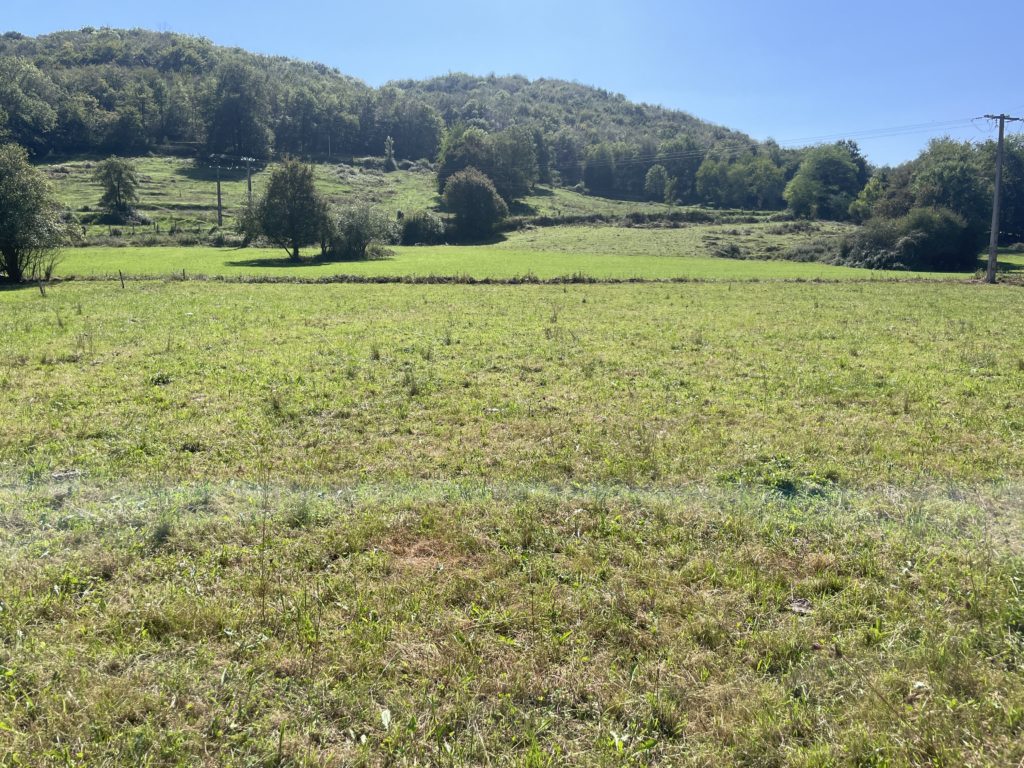 Terrain à Saint-Girons 09200 1480m2 45000 € - FRSC-26-07-03-1