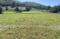 Terrain à Saint-Girons 09200 1480m2 45000 € - FRSC-26-07-03-1