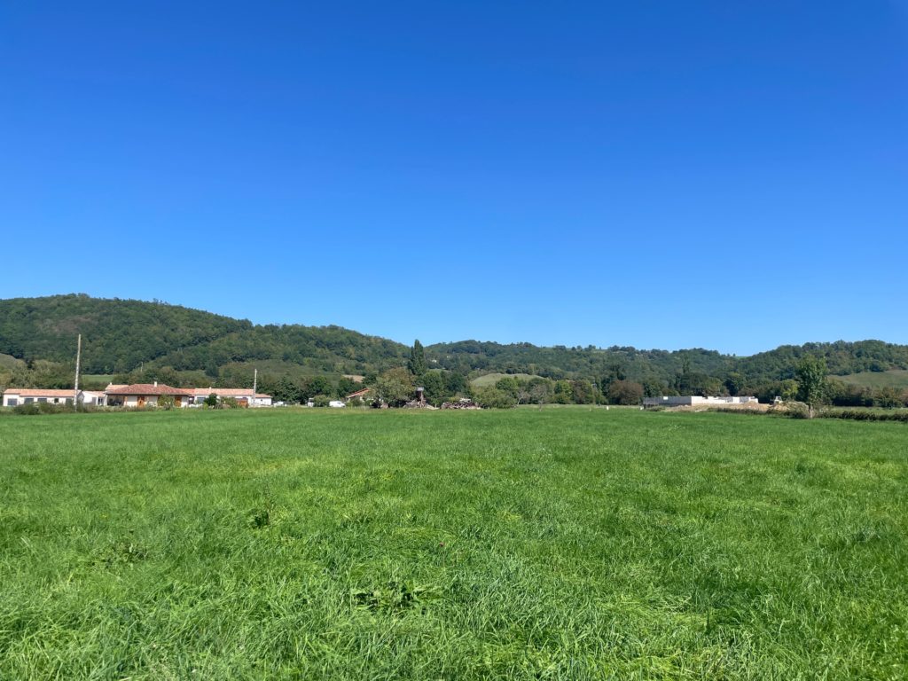 Terrain à Saint-Girons 09200 2059m2 55500 € - FRSC-26-06-01-9