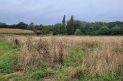Terrain à Lannilis 29870 451m2 79000 € - ETRE-26-07-08-27