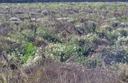 Terrain à Guisseny 29880 442m2 56000 € - ETRE-26-05-26-39