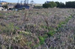 Terrain à Guisseny 29880 435m2 56000 € - ETRE-26-07-08-49