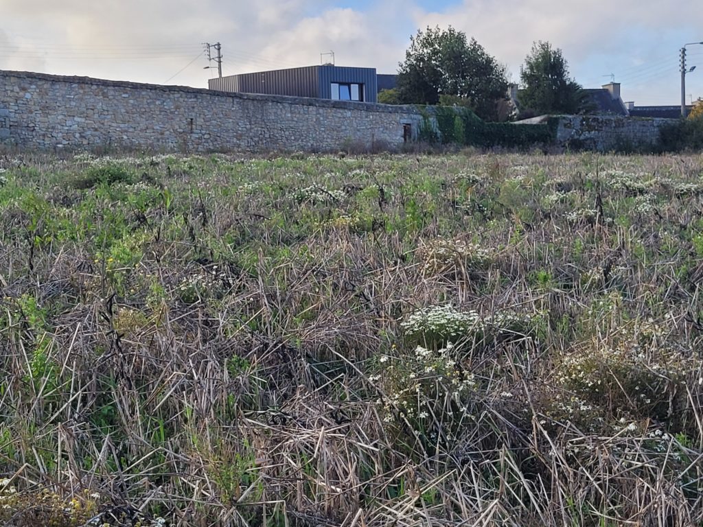 Terrain à Guisseny 29880 540m2 79000 € - ETRE-26-06-08-53