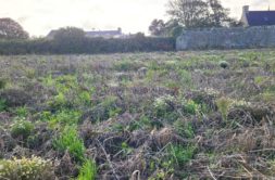 Terrain à Guisseny 29880 446m2 62000 € - ETRE-26-05-26-46