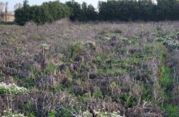 Terrain à Guisseny 29880 608m2 77000 € - ETRE-26-06-29-58