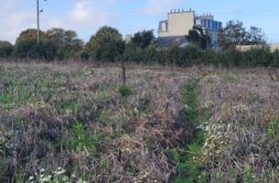 Terrain à Guisseny 29880 624m2 82000 € - ETRE-26-07-08-61