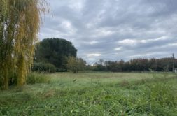 Terrain à Martres-Tolosane 31220 1280m2 50500 € - FRSC-26-07-13-2