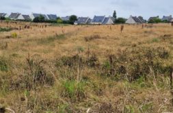 Terrain à Lannilis 29870 590m2 92000 € - ETRE-26-05-26-14