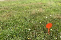 Terrain à Lannilis 29870 452m2 65000 € - ETRE-26-05-26-19
