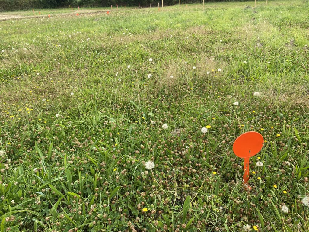 Terrain à Lannilis 29870 425m2 62000 € - ETRE-26-09-21-21