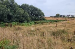 Terrain à Lannilis 29870 461m2 75000 € - ETRE-26-05-18-20