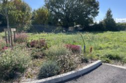 Terrain à Saint-Julien-sur-Garonne 31220 290m2 48000 € - FRSC-26-07-13-5