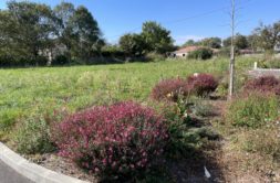 Terrain à Saint-Julien-sur-Garonne 31220 884m2 84000 € - FRSC-26-06-01-7