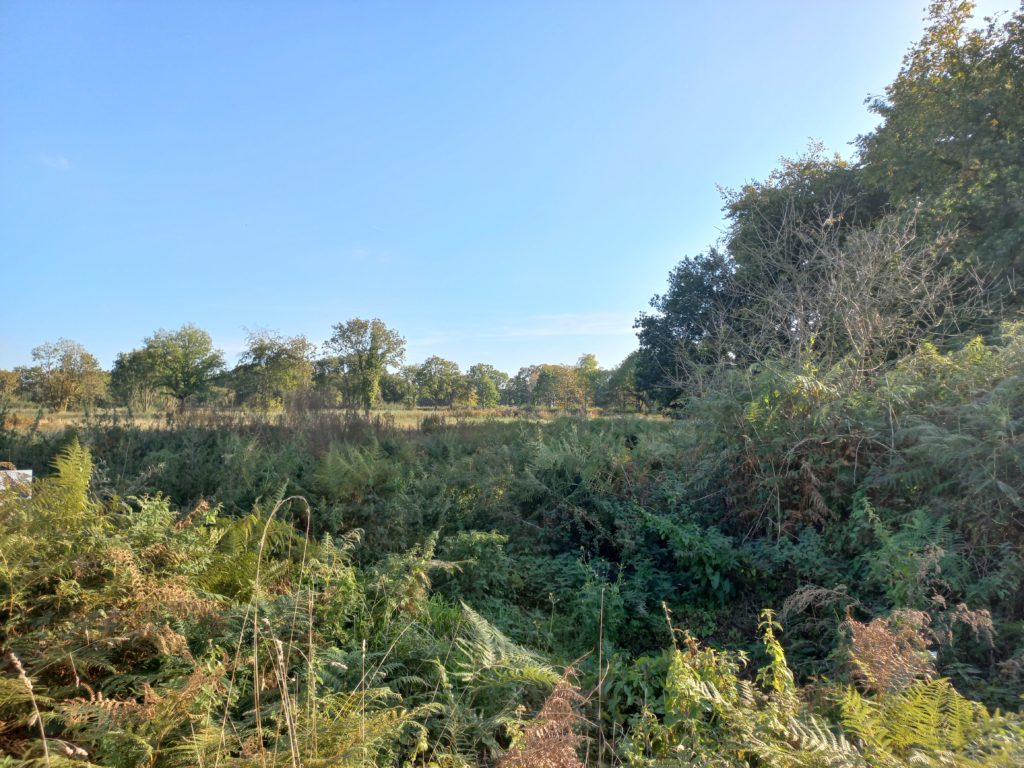 Terrain à Le-Hingle 22100 426m2 49000 € - GESC-26-09-15-3