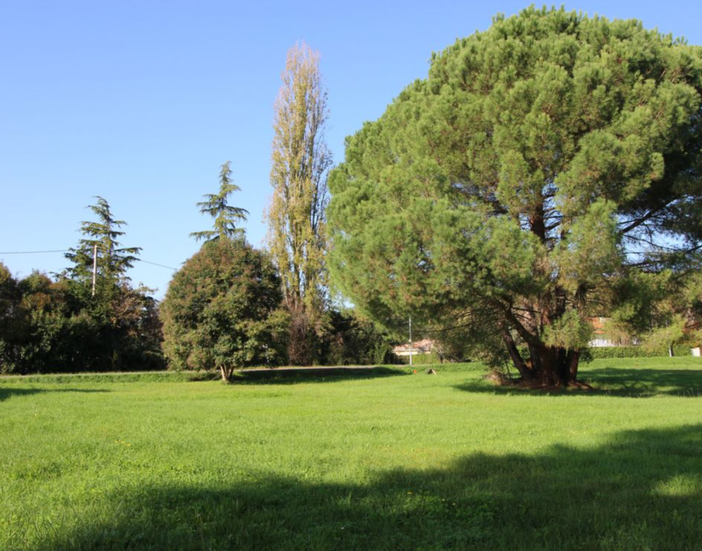 Terrain à Colomiers 31770 500m2 199000 € - CROP-26-06-05-7