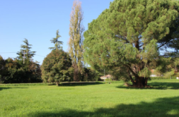 Terrain à Colomiers 31770 500m2 199000 € - CROP-26-06-05-7