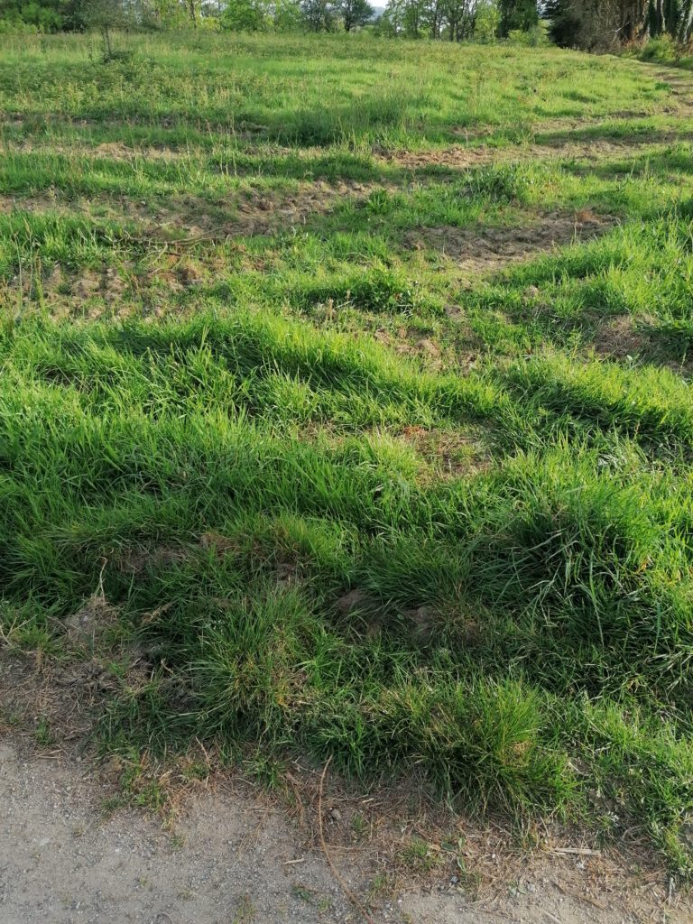Terrain à Sainte-Helene 56700 373m2 88000 € - GMA-26-08-04-86
