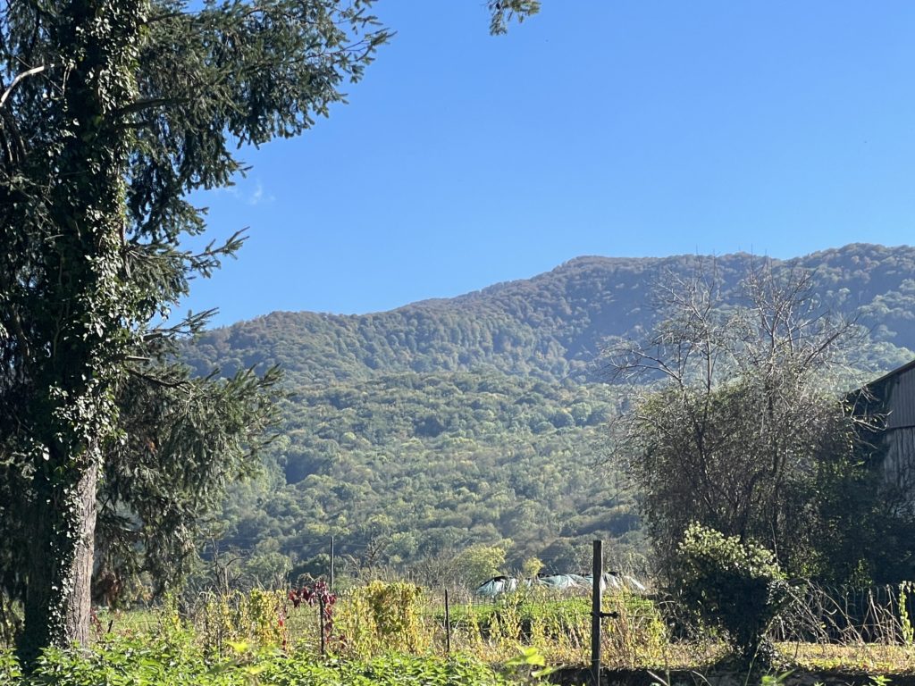 Terrain à Urau 31260 480m2 19500 € - FRSC-26-07-13-7
