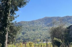 Terrain à Urau 31260 480m2 19500 € - FRSC-26-06-01-12