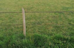 Terrain à Merlevenez 56700 274m2 78700 € - GMA-26-08-04-49