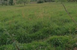Terrain à Merlevenez 56700 300m2 84000 € - GMA-26-08-04-51