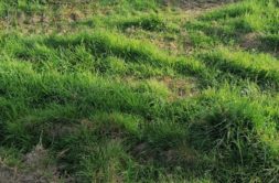 Terrain à Merlevenez 56700 417m2 116800 € - GMA-26-08-04-52