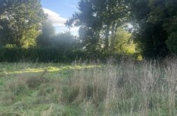 Terrain à Daoulas 29460 515m2 96000 € - NCHA-26-05-28-44