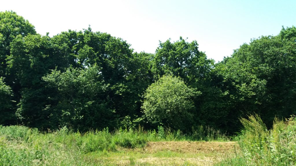 Terrain à Saint-Briac-sur-Mer 35800 410m2 241900 € - ASCO-26-06-03-2