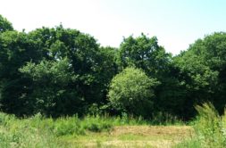 Terrain à Saint-Briac-sur-Mer 35800 410m2 241900 € - ASCO-26-06-03-2