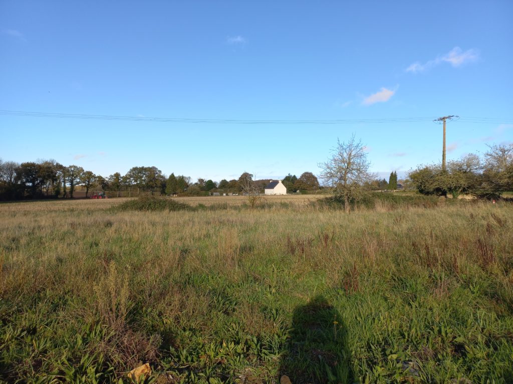 Terrain à Lanvallay 22100 496m2 78000 € - GESC-26-07-01-10