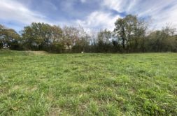 Terrain à Plagne 31220 823m2 30000 € - FRSC-26-07-13-8