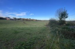 Terrain à Cazeres 31220 7000m2 49005 € - FRSC-26-07-03-12