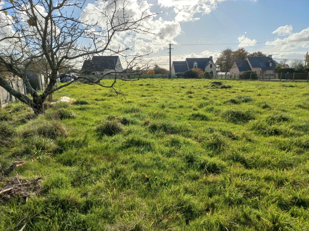 Terrain à Trelivan 22100 464m2 53000 € - GESC-26-08-10-8