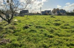 Terrain à Trelivan 22100 464m2 53000 € - GESC-26-05-28-14
