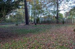 Terrain à Plelan-le-Petit 22980 1020m2 89200 € - GESC-26-05-11-37