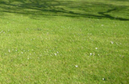 Terrain à Auray 56400 560m2 120000 € - MLEF-26-07-15-1