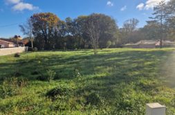 Terrain à La-Salvetat-Saint-Gilles 31880 1450m2 220000 € - VIMA-26-05-05-9