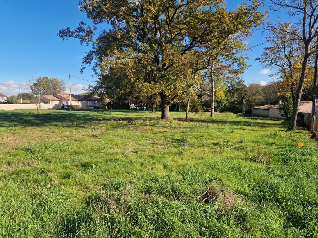 Terrain à La-Salvetat-Saint-Gilles 31880 1450m2 220000 € - VIMA-26-07-01-13