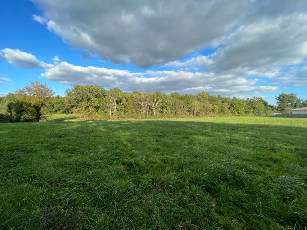 Terrain à Fontenilles 31470 1000m2 175000 € - VIMA-26-06-02-7