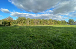 Terrain à Fontenilles 31470 1000m2 175000 € - VIMA-26-06-02-7
