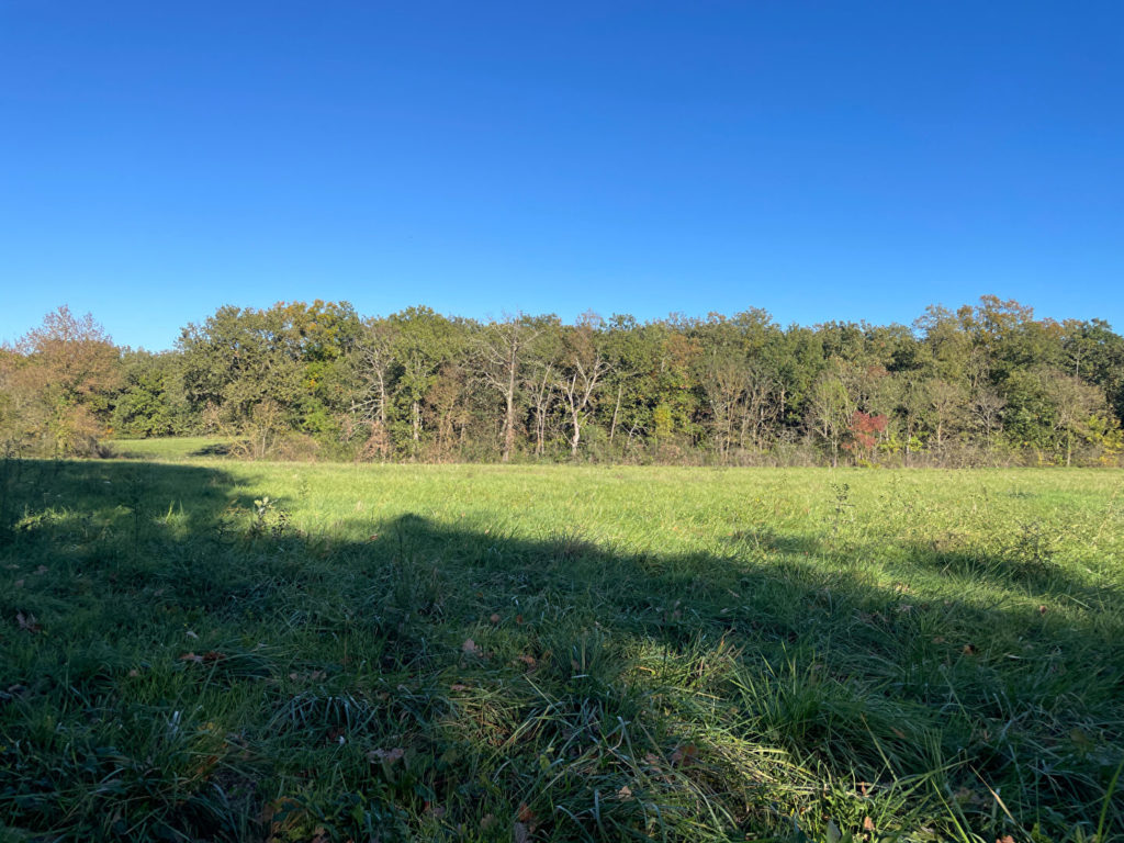 Terrain à Fontenilles 31470 1000m2 175000 € - VIMA-26-06-02-7