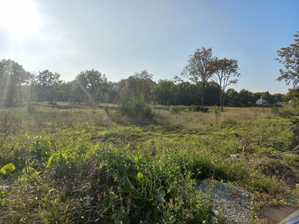 Terrain à Trelivan 22100 575m2 65000 € - GESC-26-07-27-62