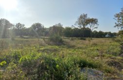 Terrain à Trelivan 22100 575m2 65000 € - GESC-26-07-27-62