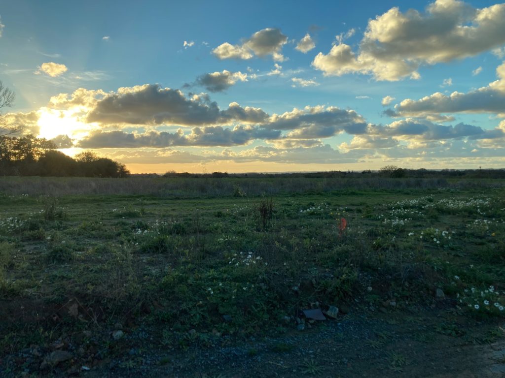 Terrain à Pleurtuit 35730 483m2 195000 € - GESC-26-06-08-34
