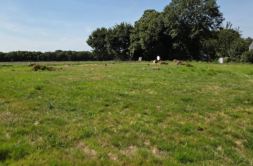 Terrain à Calorguen 22100 523m2 56085 € - GESC-26-07-09-8