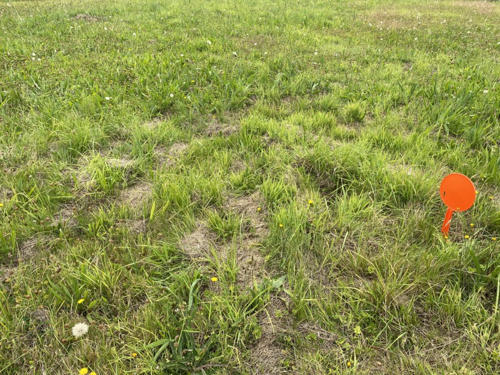 Terrain à Saint-Pabu 29830 440m2 58000 € - ETRE-26-06-01-24