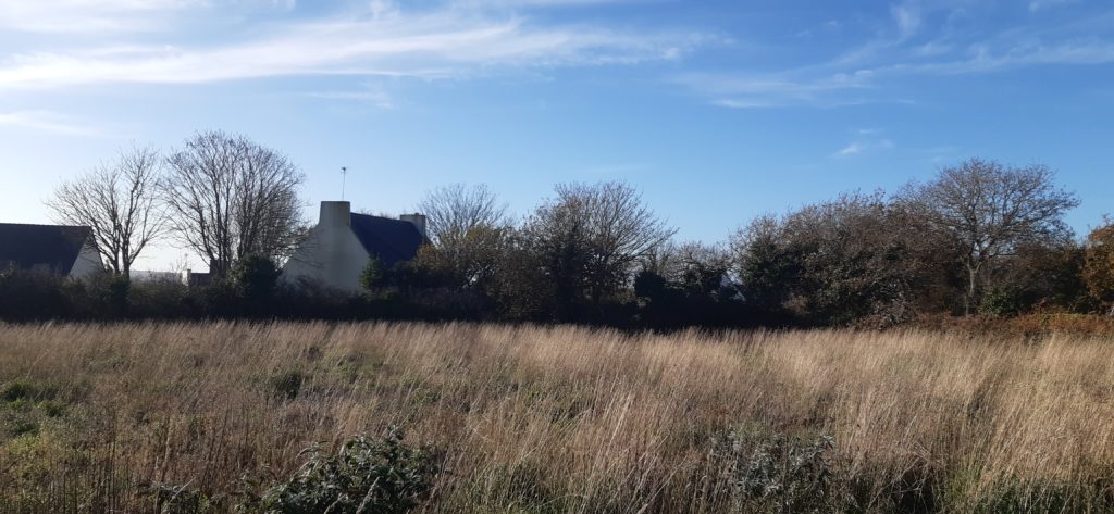 Terrain à Locmaria-Plouzane 29280 560m2 170000 € - GLB-26-09-08-2