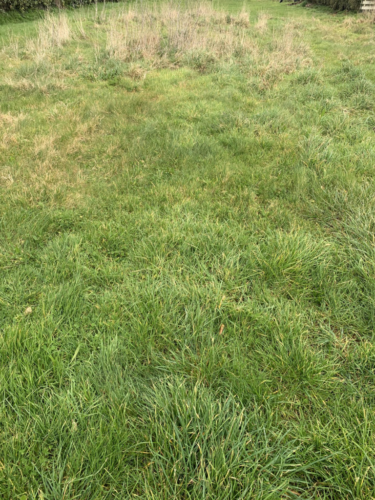 Terrain à Henvic 29670 635m2 68000 € - RGOB-26-06-24-8