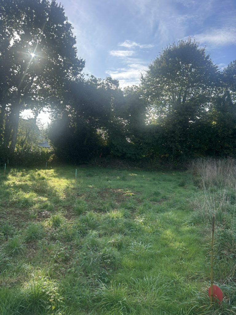 Terrain à Plouedern 29800 564m2 81750 € - NCHA-26-06-17-9
